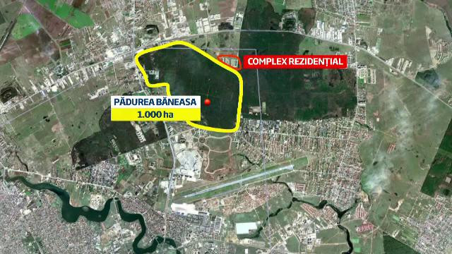 Locuitorii unui complex rezidential, speriati de mistreti. Dezvoltatorul a facut cartier in padure