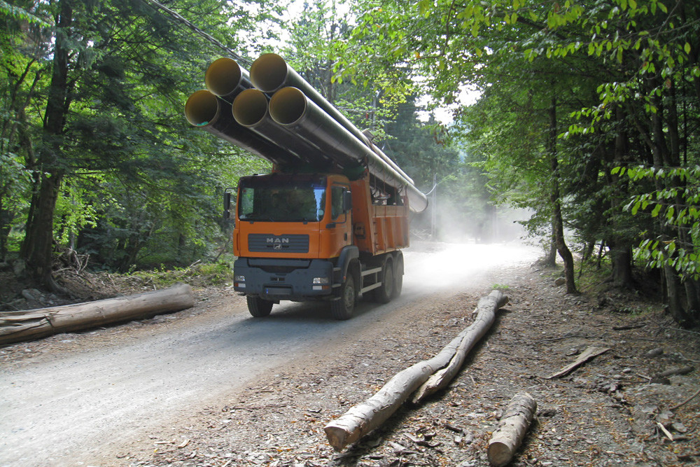 Dosare penale pentru cei care taie “aurul verde”. Taierile ilegale de arbori, un fenomen de neoprit