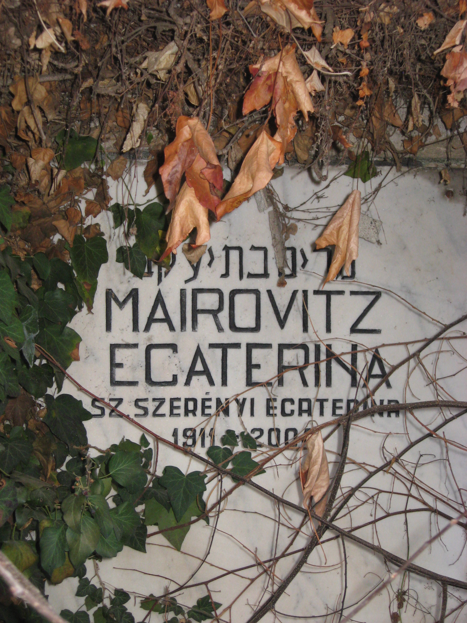 Afla povestea batranei asistate social care a lasat o mostenire colosala: pamanturile satului Nadas