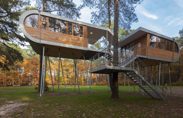 The Serene Treehouse