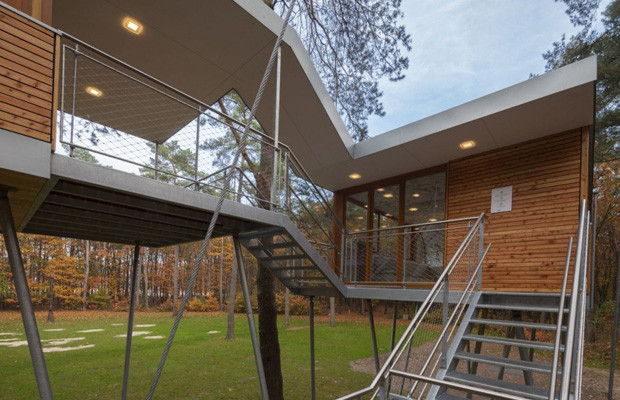 The Serene Treehouse