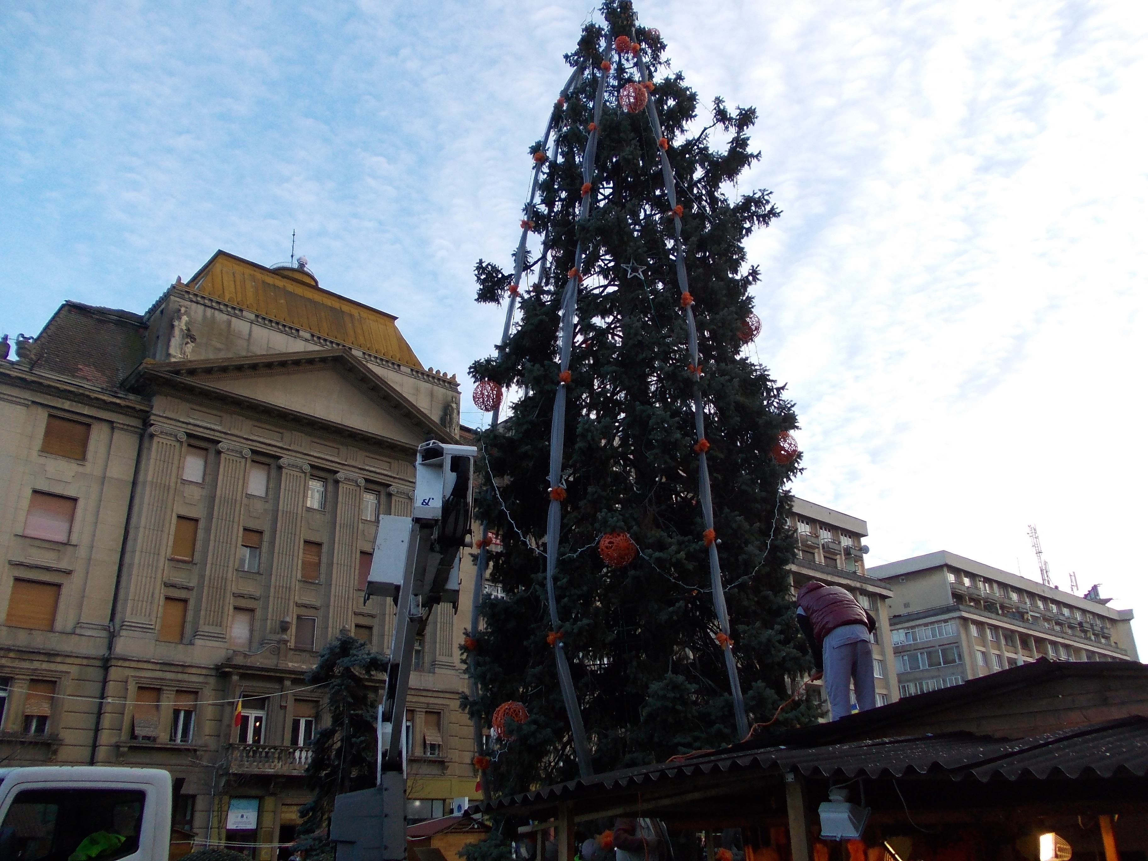 Timisoara are brad de Craciun. Acesta a fost montat si impodobit astazi, in Piata Victoriei