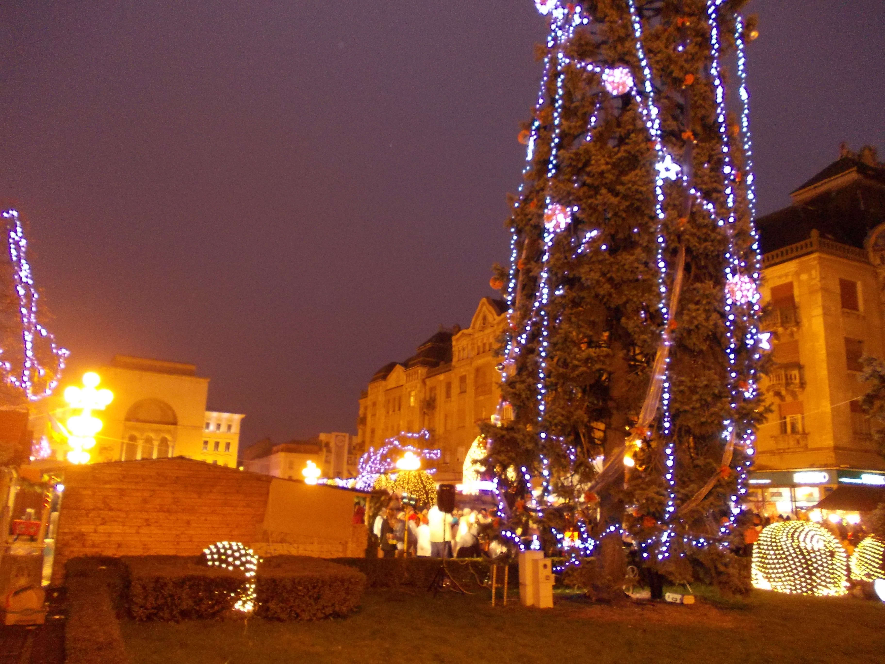 Colinde si dansuri in Piata Victoriei. Luminitele din bradul de Craciun au fost aprinse. Vezi FOTO