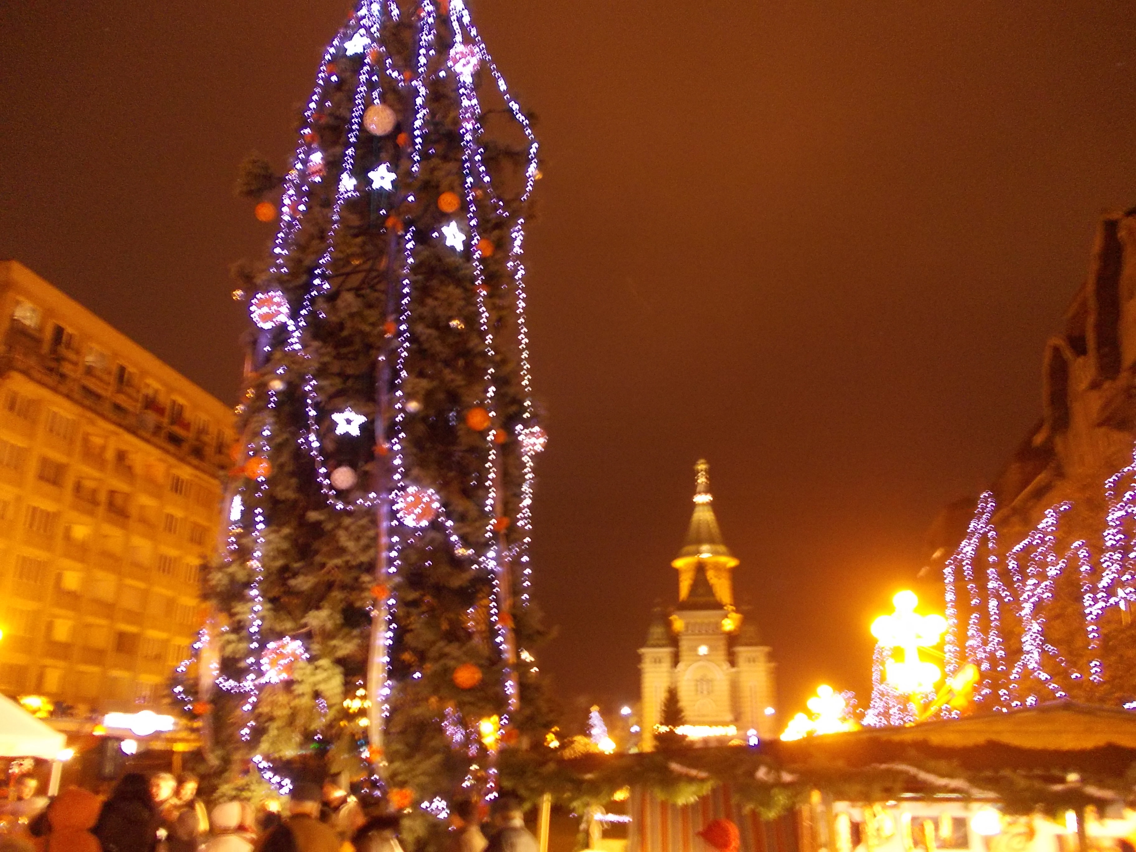 Timisoara intra astazi in competitia pentru titlul de Capitala Culturala Europeana