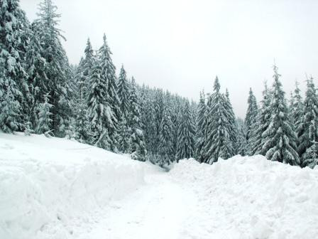 Telegondola din Straja, inaugurata dupa o investitie de opt milioane de euro