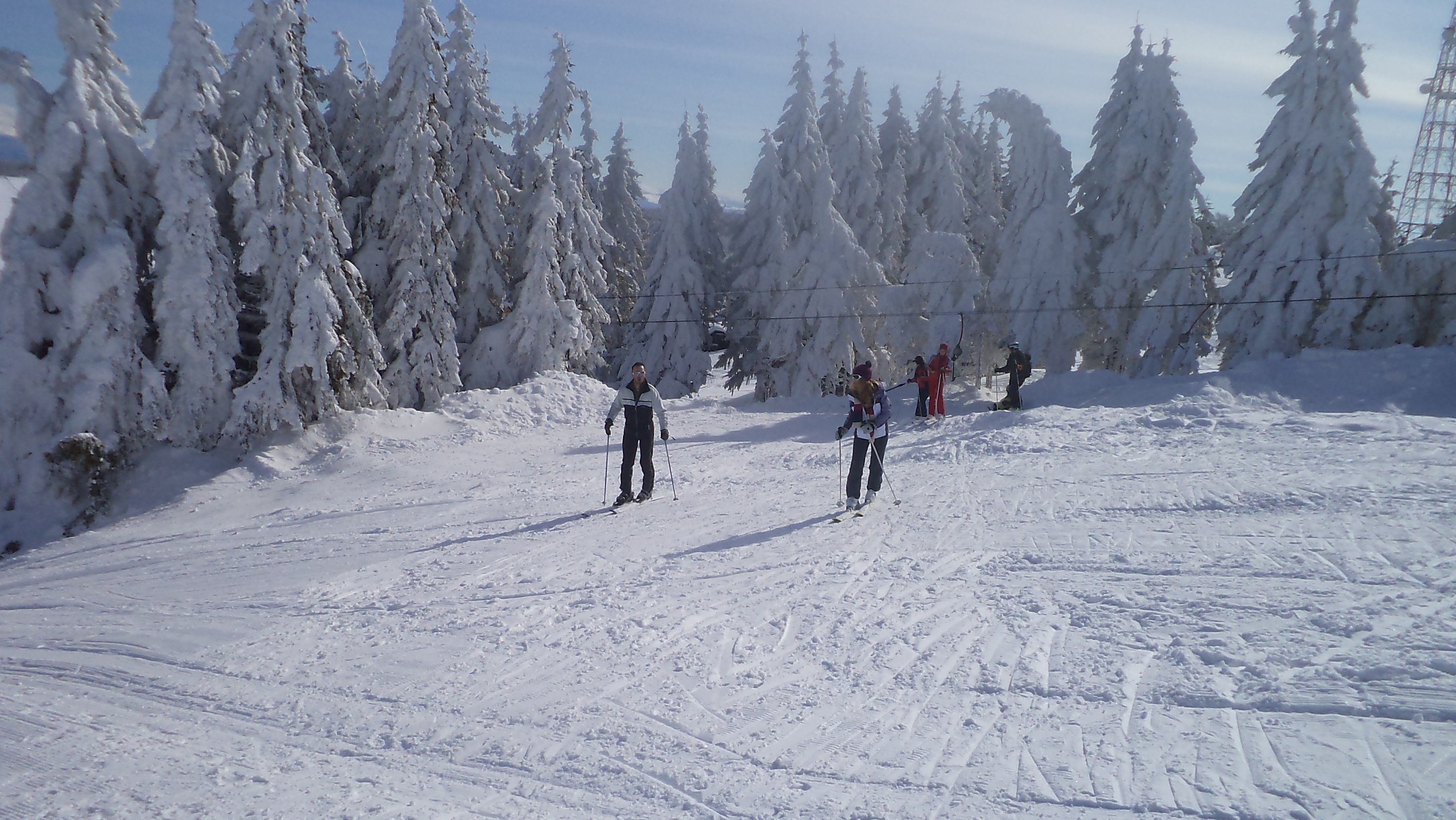 Dupa ce vremea buna a topit zapada in statiunile montane din Banat, in ultimele zile a nins ca in povesti. Starea partiilor