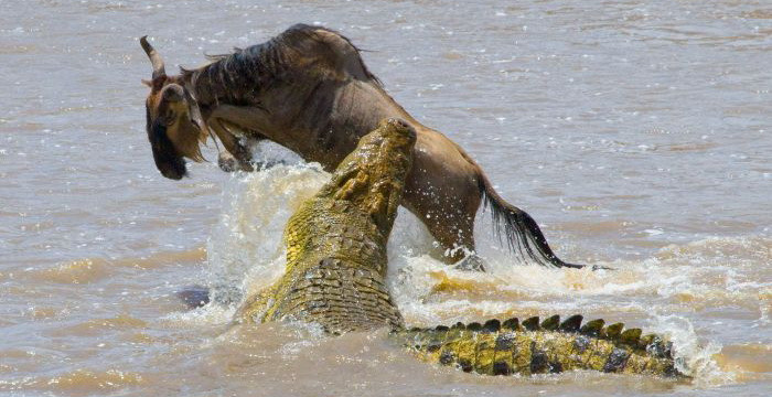 Saltul din fata mortii: poza in care se vede cat de aproape a fost de moarte!