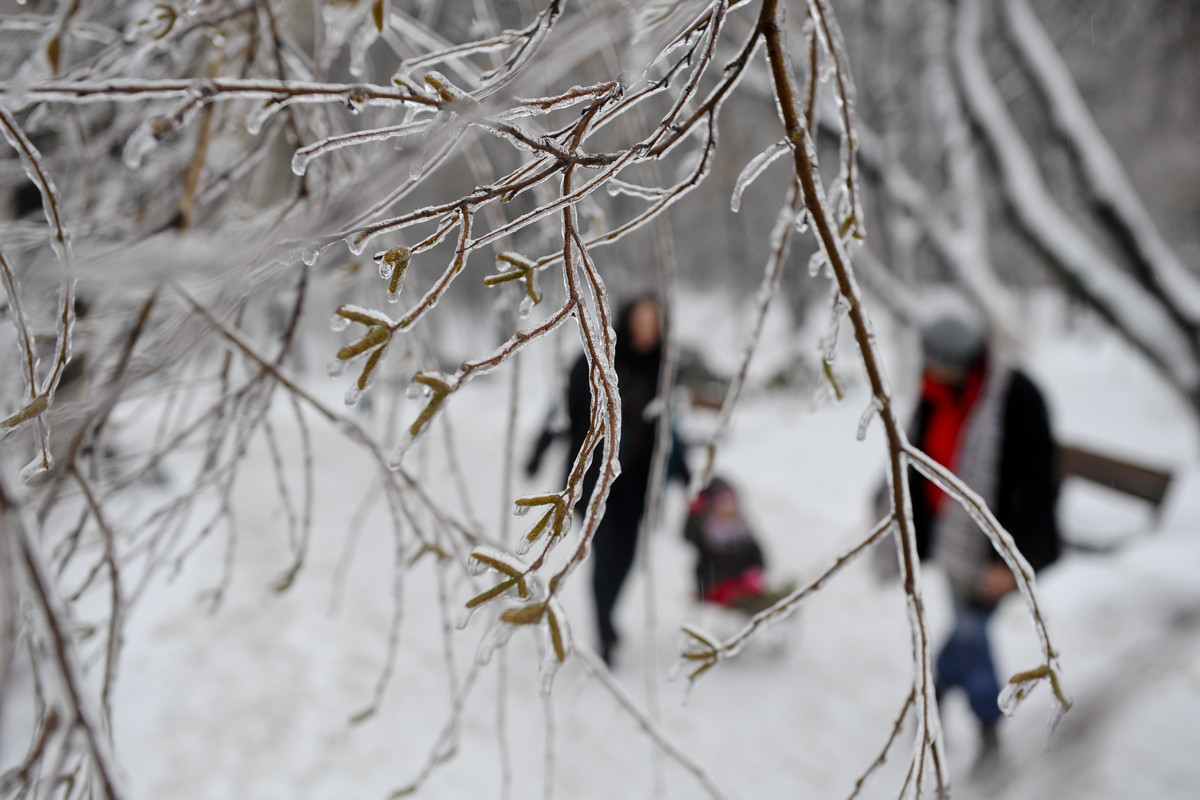 Minus 22 de grade Celsius la Joseni, cea mai scazuta temperatura din aceasta iarna. Prognoza meteo