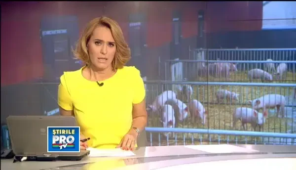 Viata lui Ghita, 400 de kilograme, personaj principal in "Taierea Porcului de Craciun"