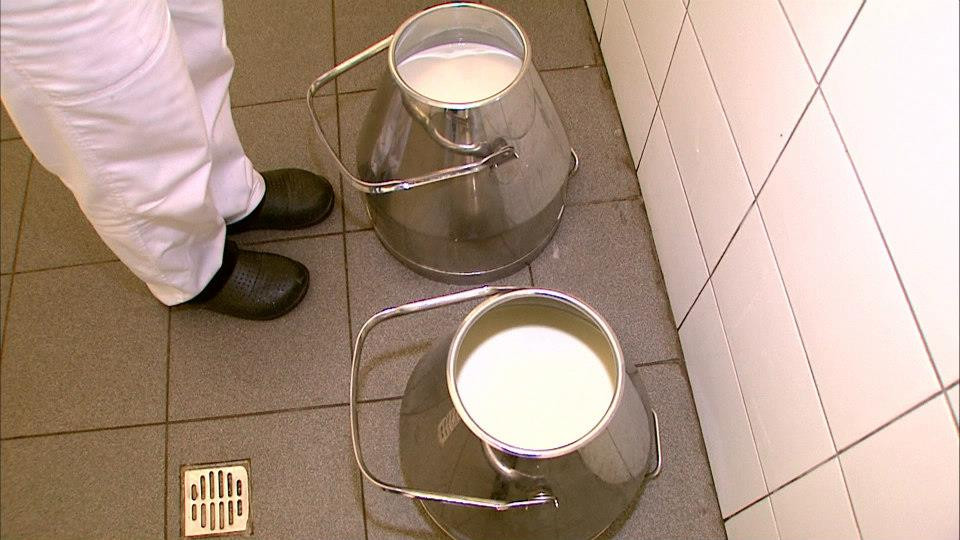 Capra vecinului sa traiasca! Povestea romanilor care si-au asumat misiunea de a schimba imaginea caprei in Romania