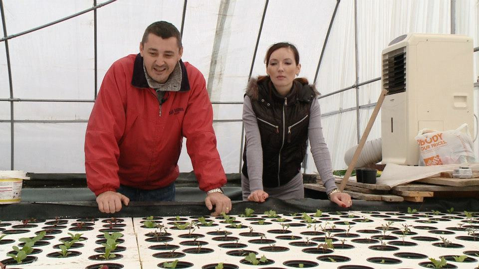 Povesti de succes "made in Romania". Ferma acvaponica - investitia intr-un viitor sanatos