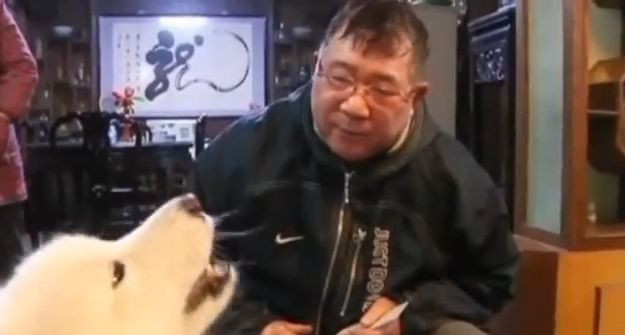 Un chinez sustine ca are un catel genial."Poate sa adune, sa scada si are o memorie excelenta".VIDEO