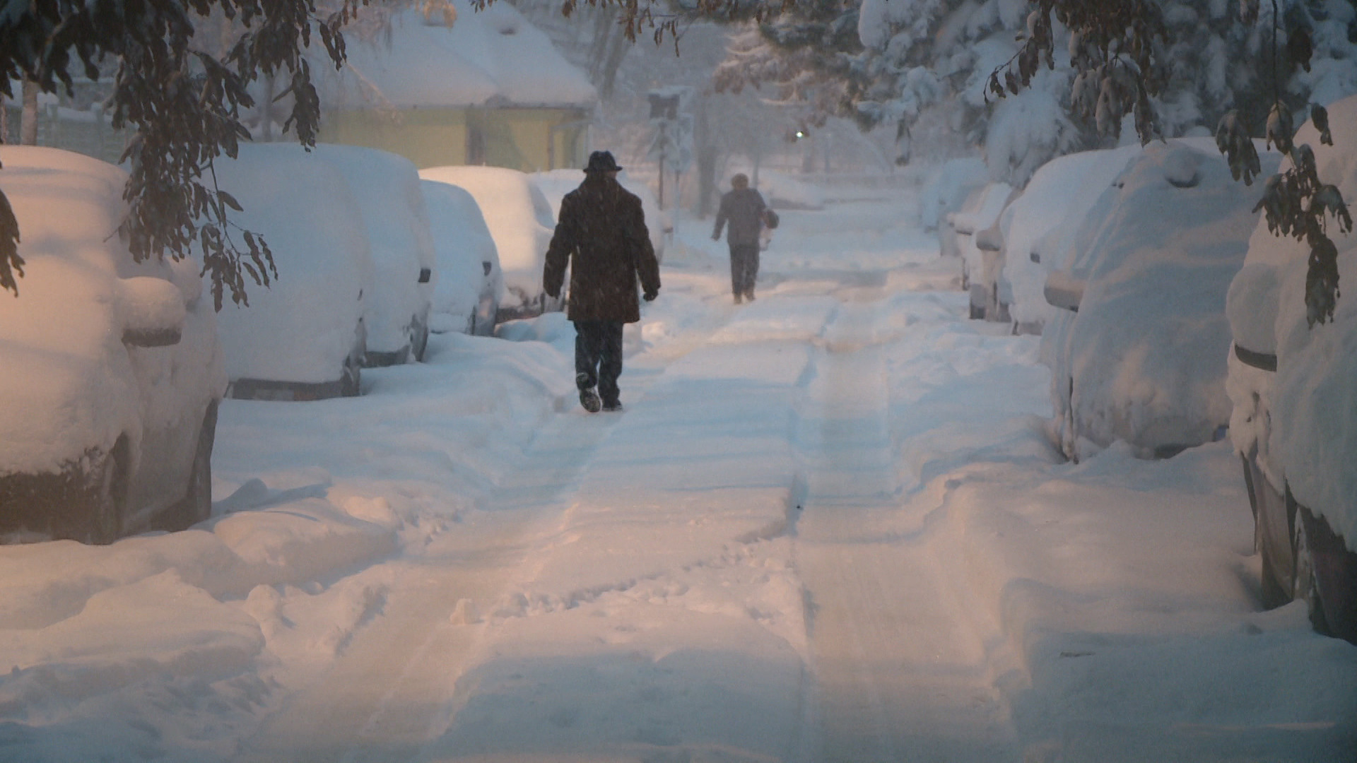 Judetul Timis a inghetat. Noaptea trecuta s-au inregistrat cele mai scazute temperaturi din tara