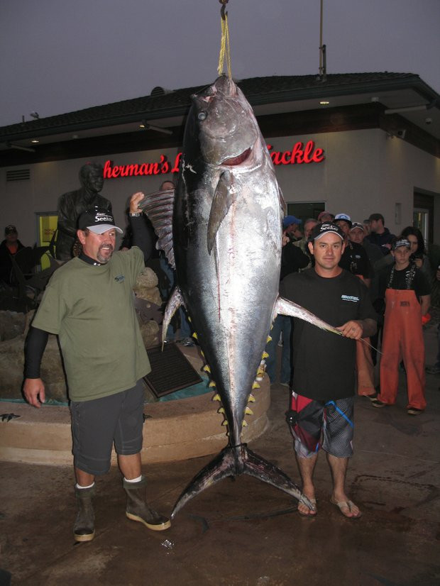 Monstrul marin prins de un roman in Oceanul Pacific. "M-am antrenat in raurile din Muntii Carpati"