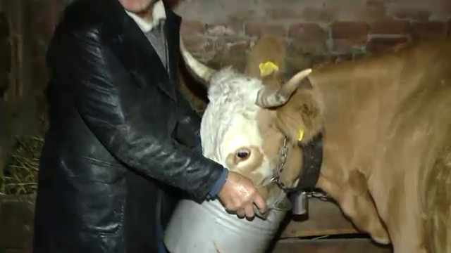 apa minerala, reteaua de apa curenta