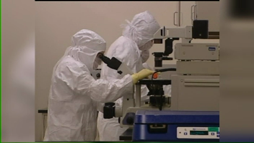 Cercetatori chinezi: "Urina este o sursa inepuizabila de neuroni"