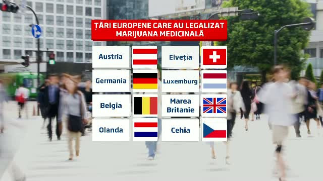 Marijuana medicinala ar putea fi legalizata in Romania. Decizia ar putea ajuta mii de pacienti