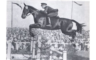 Henri Rang