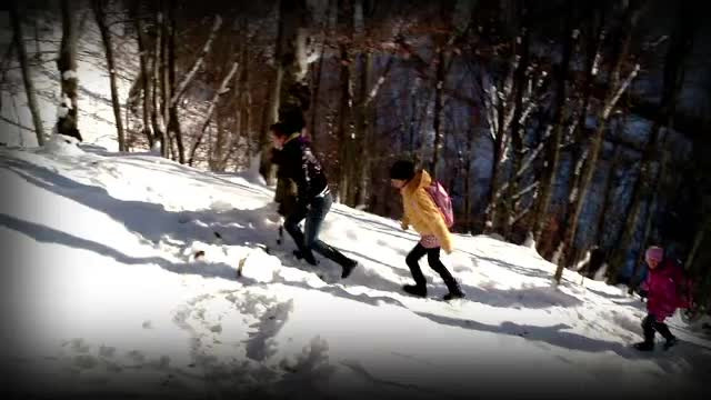 Traiesc intr-o lume aspra, dar stiu sa fie puternici. Povestea celor opt frati crescuti de bunica