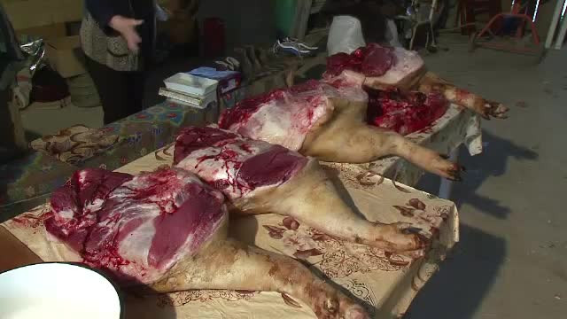 Regele porcilor, taiat de Ignat, la Satu Mare. "Marele Ghita" cantarea 514 kilograme