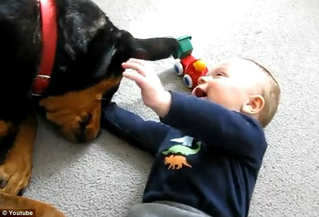 "Nu ai cum sa nu razi". Un Rottweiller si un bebelus se joaca impreuna si sunt cei mai buni prieteni