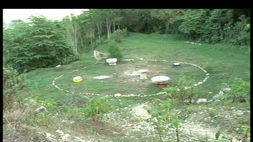 Povestea iesita din comun a inscriptiei de la care a pornit Apocalipsa mayasa