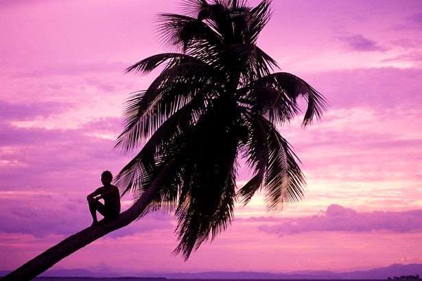 Un barbat traieste de 9 luni in copac pentru ca sotia l-a inselat si nu si-a cerut iertare