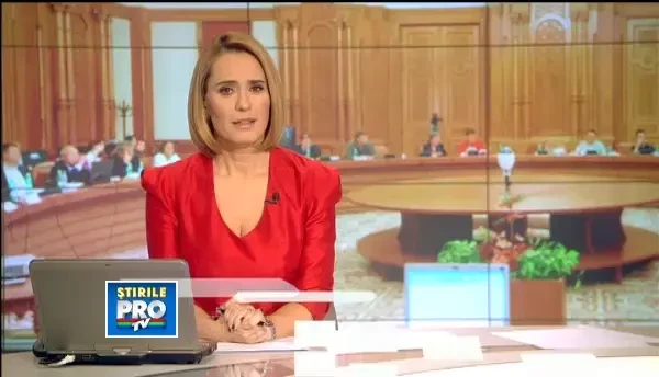 Becali in Comisia Juridica: