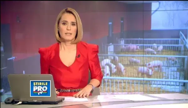 Ignatul, apocalipsa porcilor. Cum se pregatesc cele mai gustoase preparate de Craciun