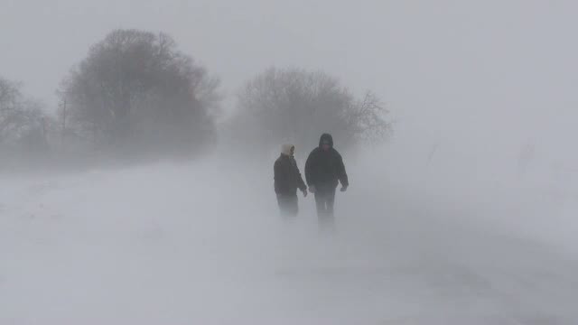 Viscolul a lasat fara curent 19 localitati aradene, iar in judet se circula greu