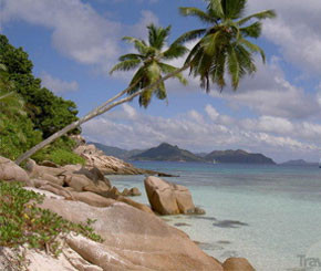 Vedetele din Romania si-au petrecut sarbatorile in strainatate, pe plaje exotice