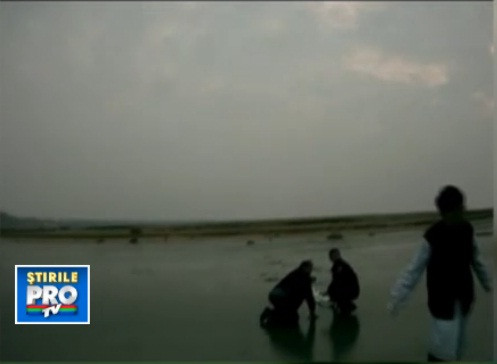 IMAGINILE ZILEI. A fost la un pas de moarte pentru ca a incercat sa il salveze cainele