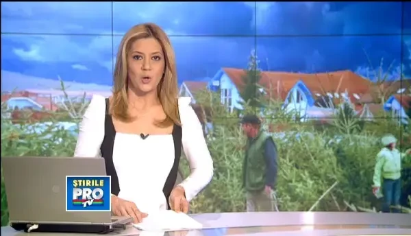 Cu o zi inainte de Craciun, exista romani care inca mai cauta bradul perfect. Vezi preturile