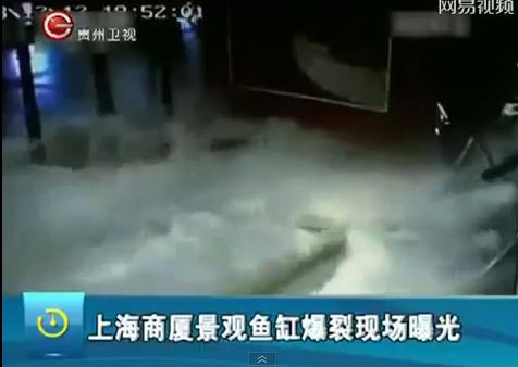 Clipe de groaza intr-un mall din China, dupa ce un acvariu plin cu rechini s-a spart. VIDEO