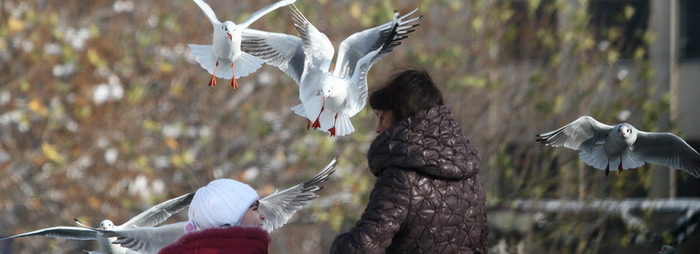 Cel mai cald Craciun din ultimii ani - maxima zilei: 19 grade. Cum va fi vremea in urmatoarele zile