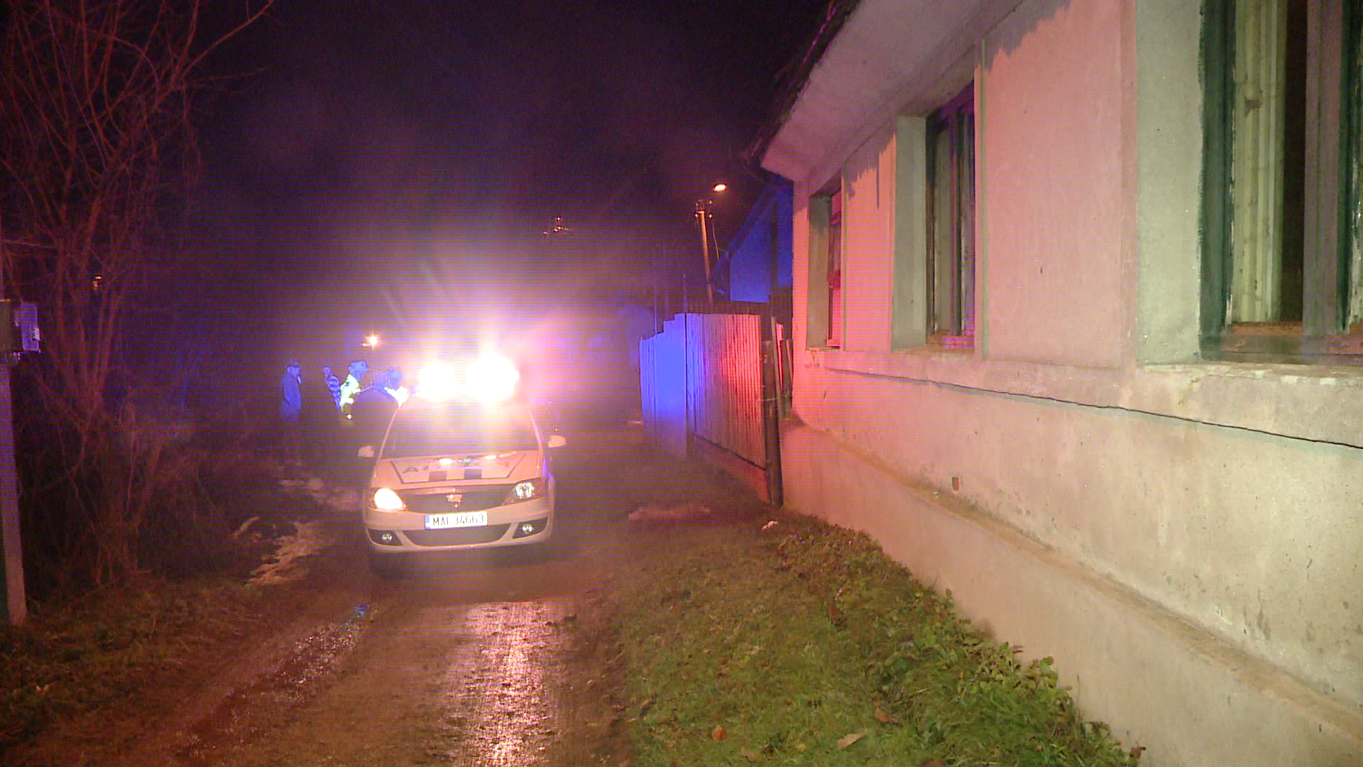 Alerta in judetul Bihor! Un tanar a fost gasit impuscat in cap, in inima padurii