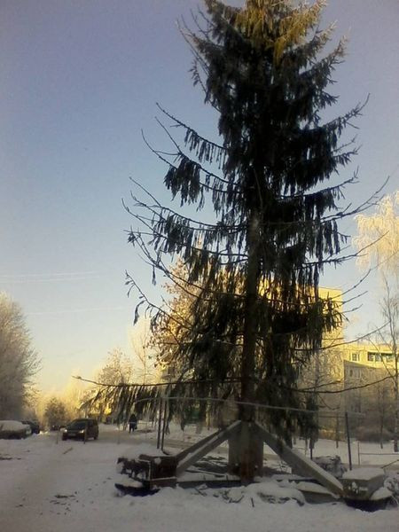 Un brad de Craciun din centrul unui oras din Rusia, jefuit de globuri. L-au lasat si fara crengi