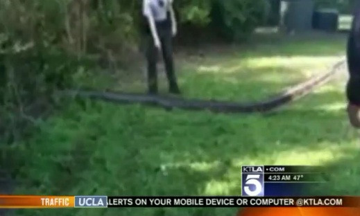 "Veniti acum. Ne temem ca o sa murim cu totii". Ce au impuscat autoritatile ajunse la fata locului