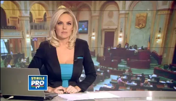 "Un politician discret si plin de voie buna". Sergiu Nicolaescu, in rolul de parlamentar