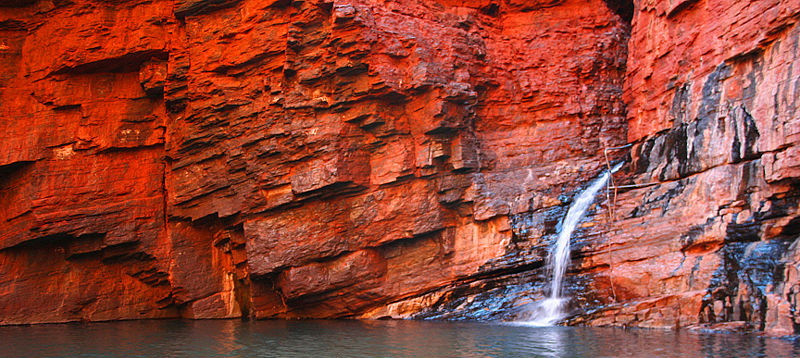 Cele mai vechi forme de viata de pe Pamant. Ele traiau in Australia acum 3,5 miliarde de ani