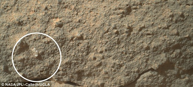 "Floarea" descoperita pe Marte. O imagine a Roverului Curiosity a aprins dezbaterile la NASA