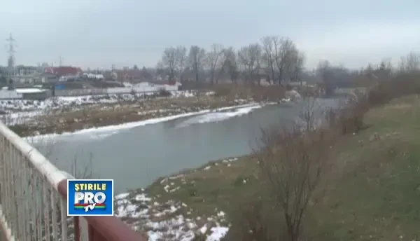 Un caine ramas pe o bucata de gheata in albia raului Ialomita, salvat de pompierii din Targoviste