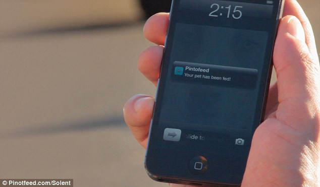 Asa iti poti hrani pisica sau cainele prin telefon! VIDEO