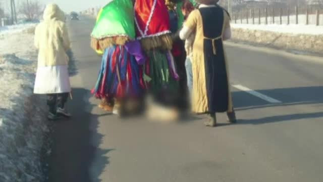 Tineri si fara minte. Cativa tineri din Bacau au pornit la colindat tragand dupa ei un caine mort