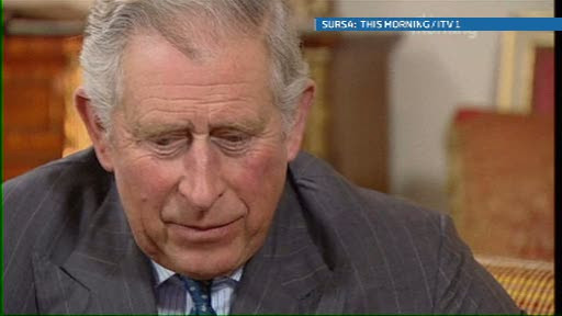 Printul Charles, ingrijorat ca nepotul sau se va naste intr-o lume prea poluata