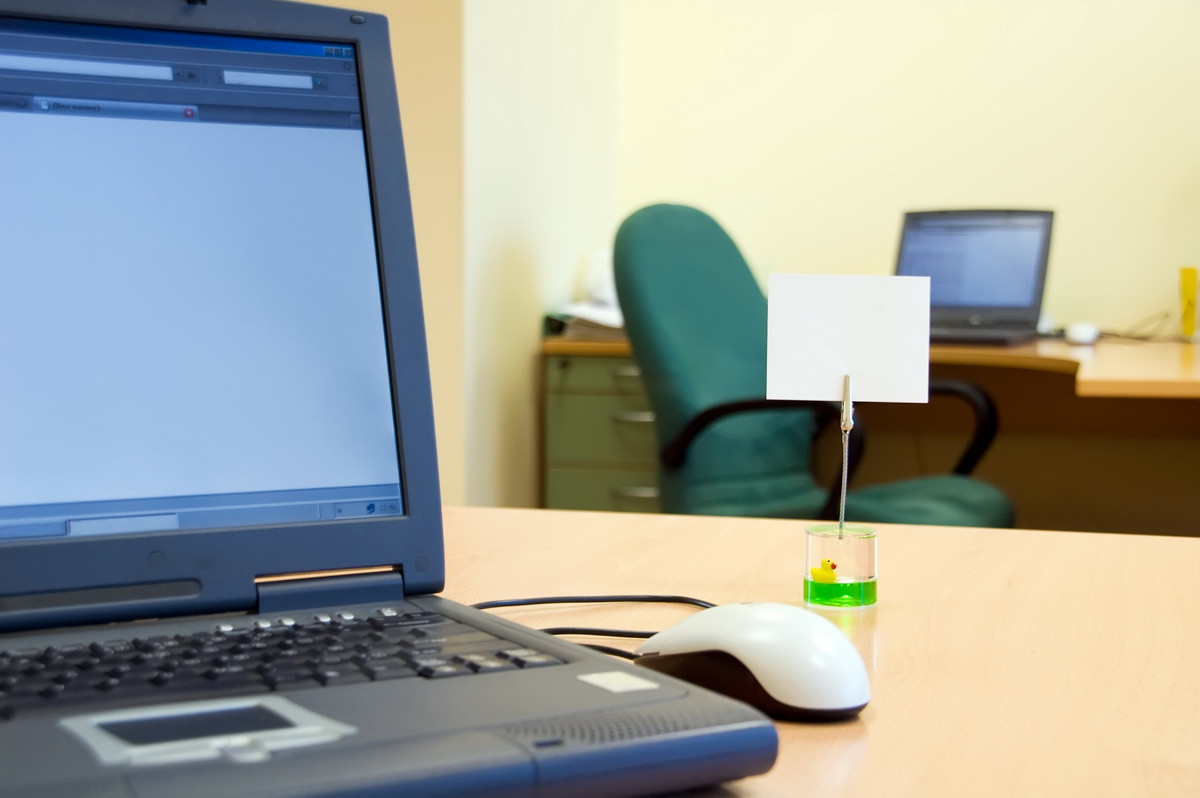 Concediu nelimitat, cu plata. Sefii care-si rasplatesc angajatii cu nenumarate zile de vacanta