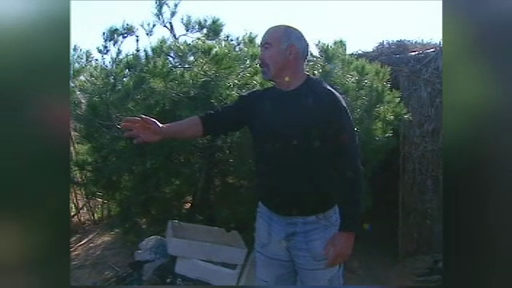 Cum poti trai fara niciun ban timp de un an. Exemplul oferit de un portughez curajos