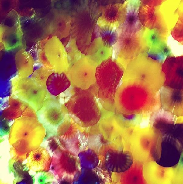 FOTO. Secretul din spatele acestor fotografii. De ce au primit mii de like-uri in doar cateva zile