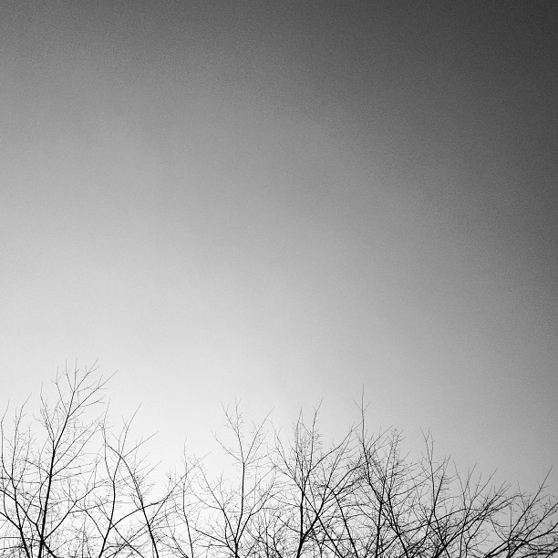 Este orb din nastere, dar a uimit tot internetul cu fotografiile sale: