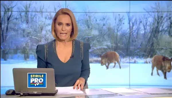 Au inceput pregatirile pentru vanatoarea de la Balc, organizata anual de Ion Tiriac